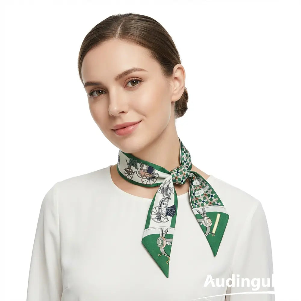 Audingull Everyday Style 100% Silk Skinny Scarf for Women